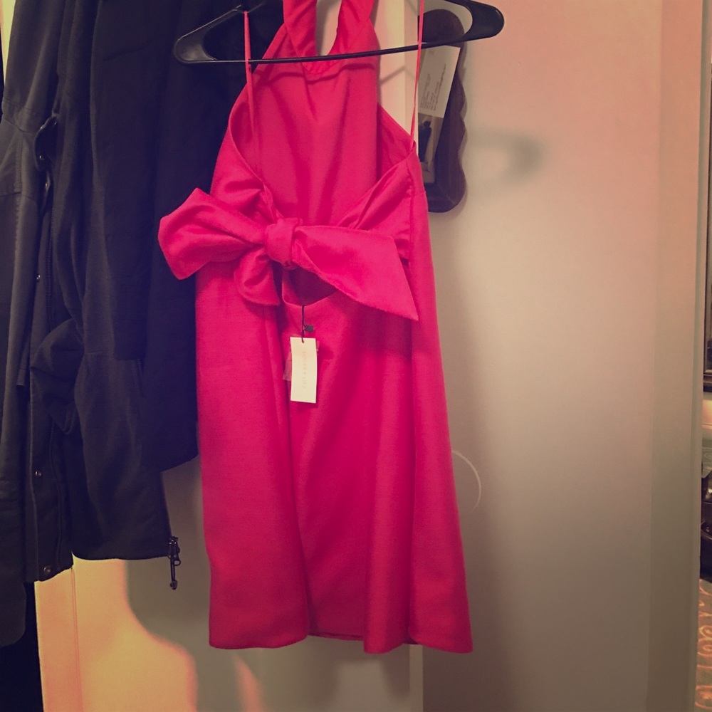 Adorable Bow Back Dress