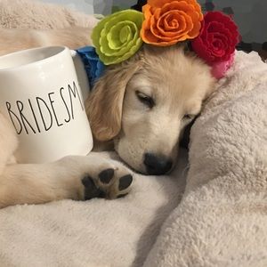 BRIDESMAID Rae Dunn Artisan Collection by Magenta