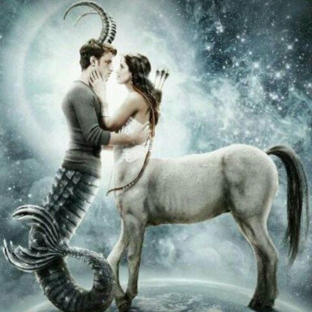 Meet your Posher, Vero