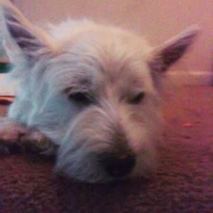 Meet your Posher, Jan