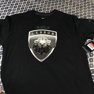 Lebron Dri-Fit t shirt