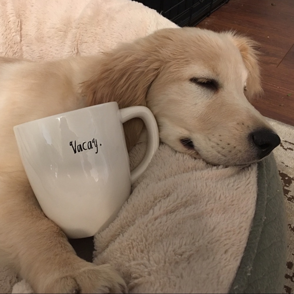 Vacay. mug: Rae Dunn Artisan Collection by Magenta