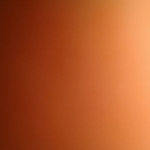 Meet your Posher, Lilly