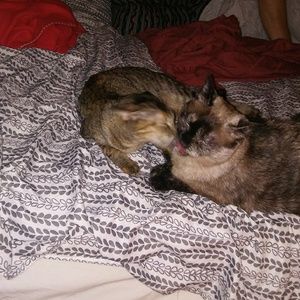 Meet your Posher, Jillian