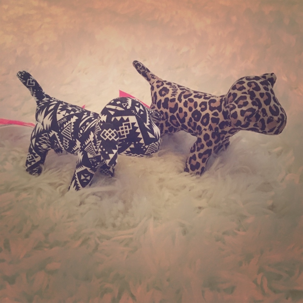 VS pink mini dogs