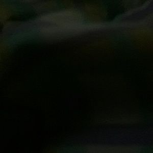 Meet your Posher, Kaianna