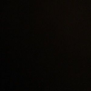 Meet your Posher, Maddie