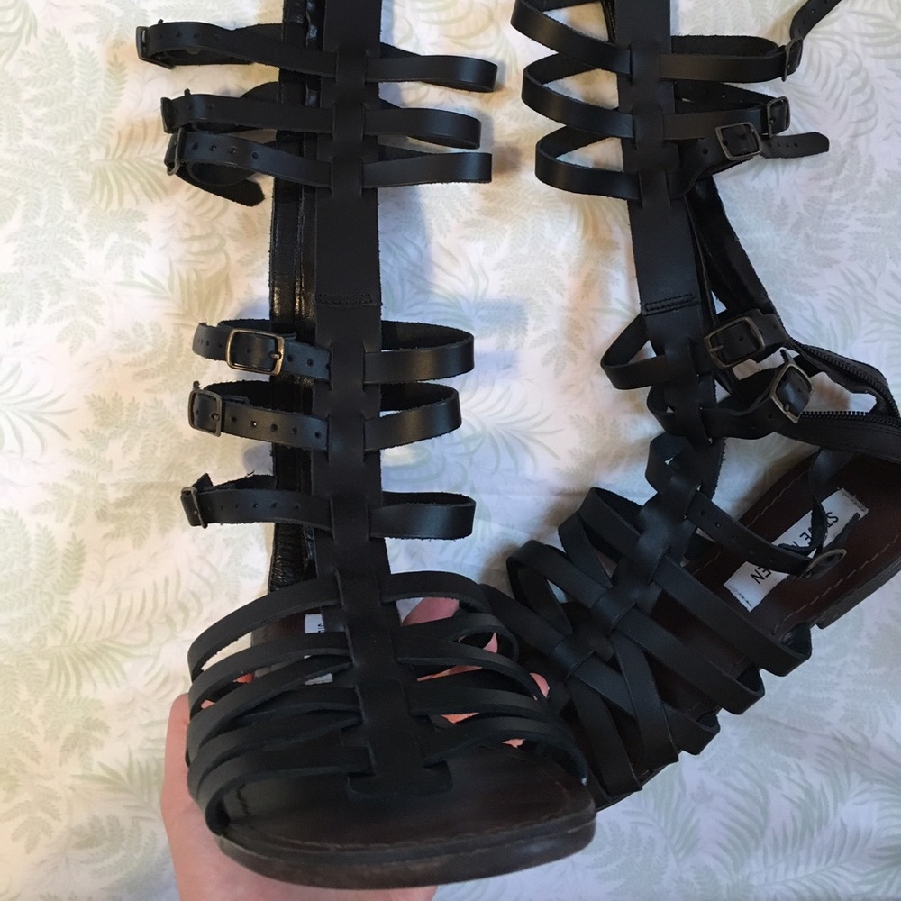 Steve Madden gladiator sandals