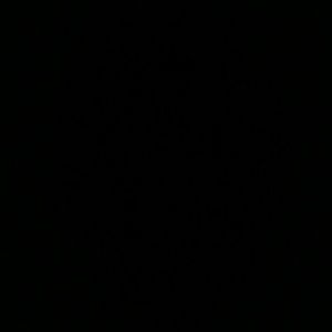 Meet your Posher, Timothy