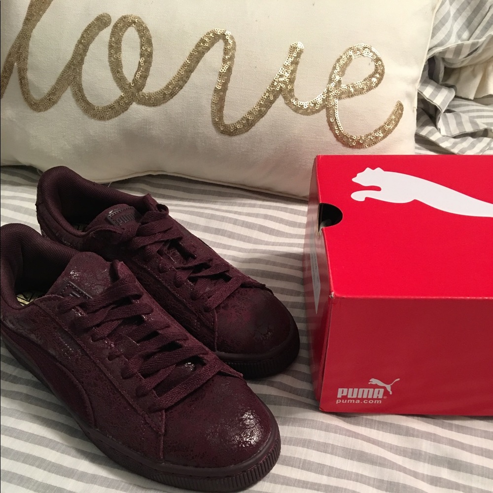 Sz 7 Pumas
