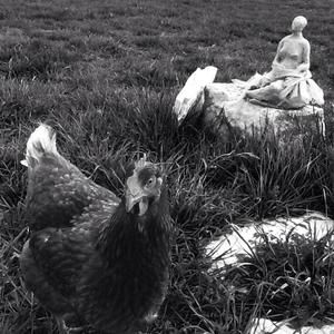 Meet your Posher, Indie