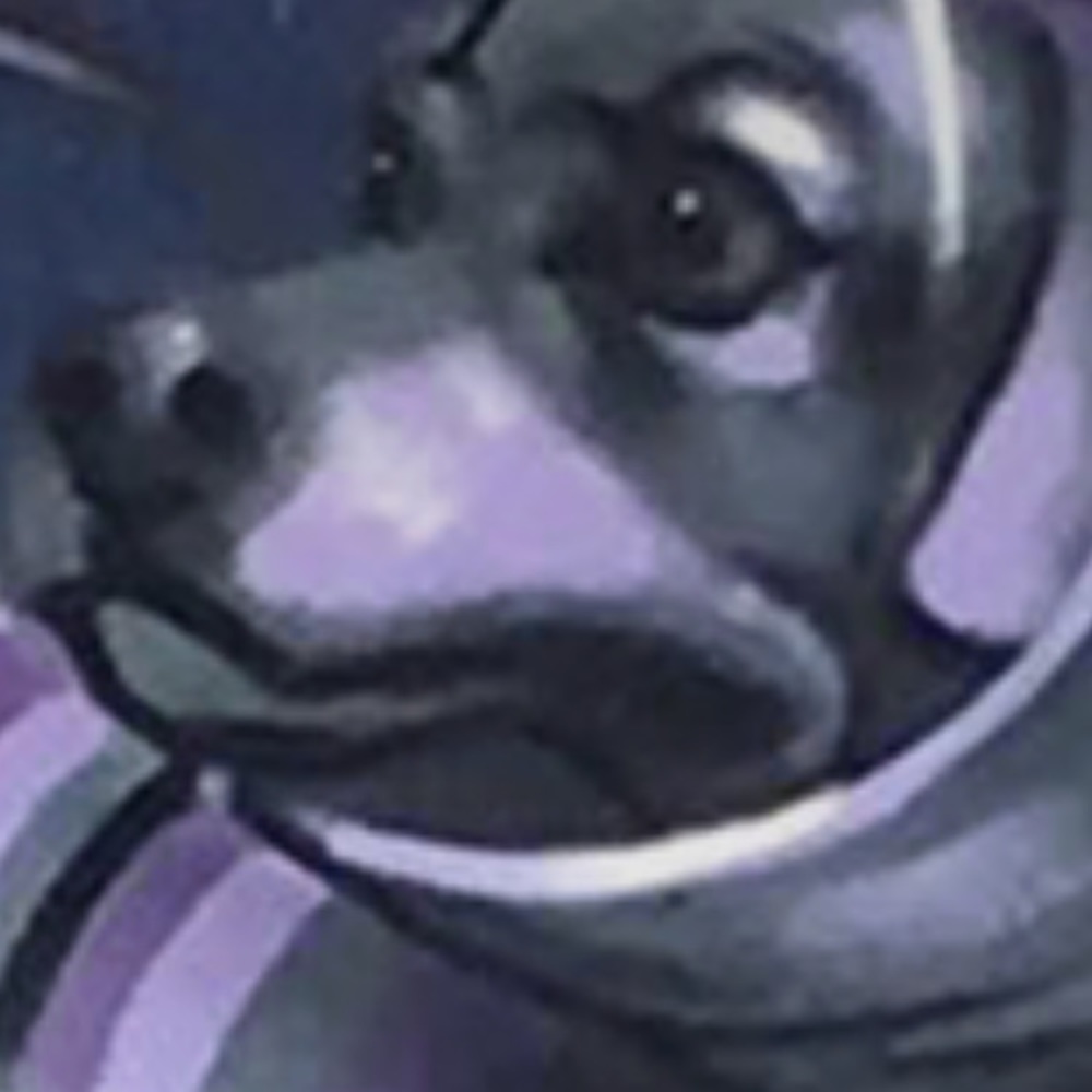 Meet your Posher, Danny