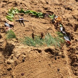 Meet your Posher, Sherry