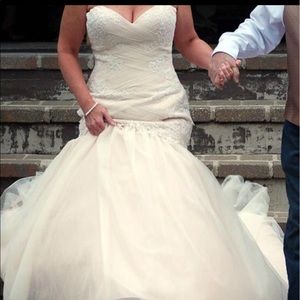 Maggie Sottero Bridal gown haven