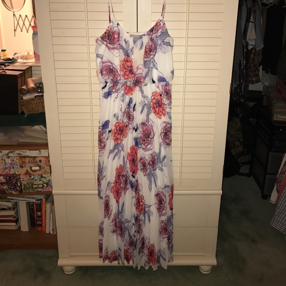 Bisou Bisou maxi dress