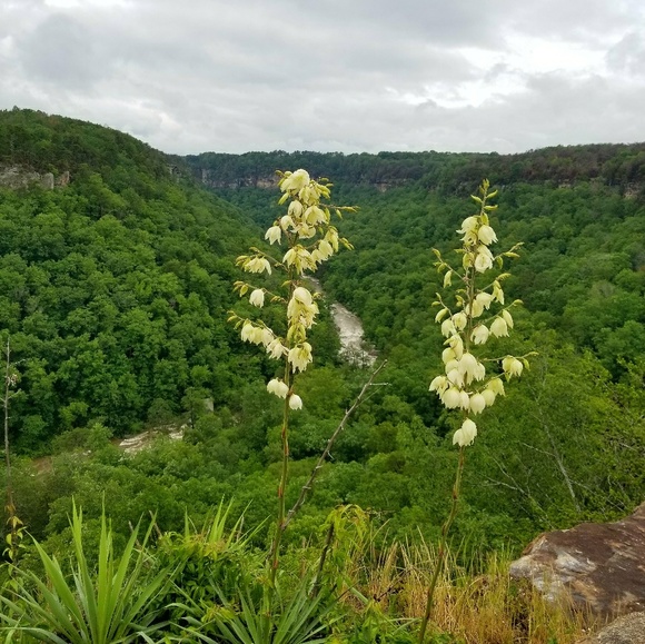 Meet your Posher, Brian - Picture 1 of 1