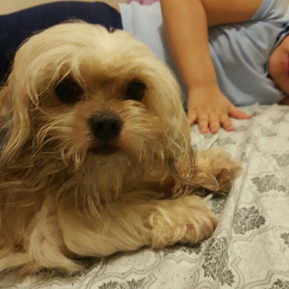 Meet your Posher, Analee - Picture 1 of 1