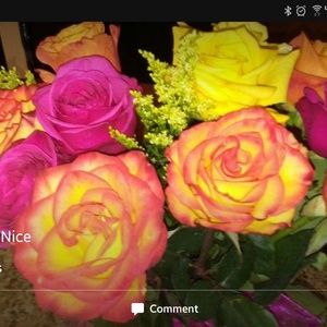 Meet your Posher, Monique