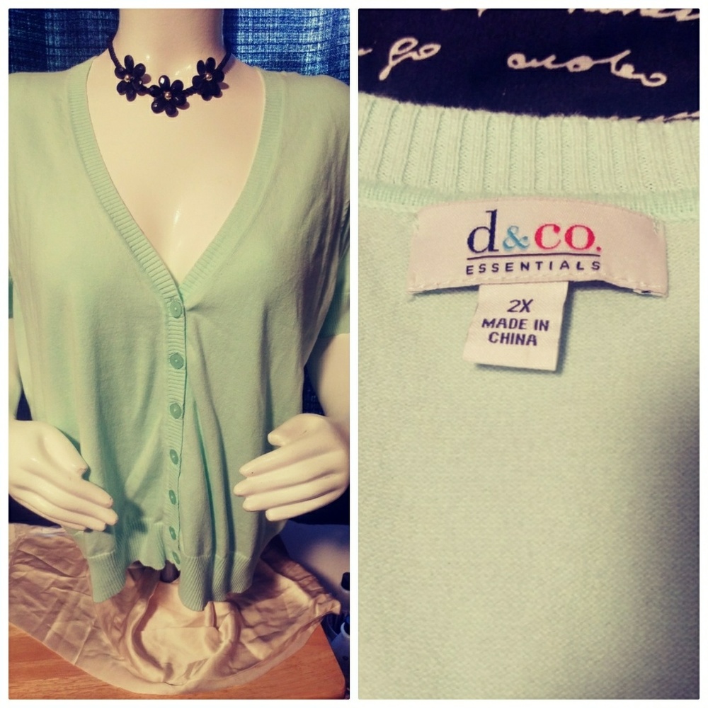 NWOT pastel mint short sleeve sweater