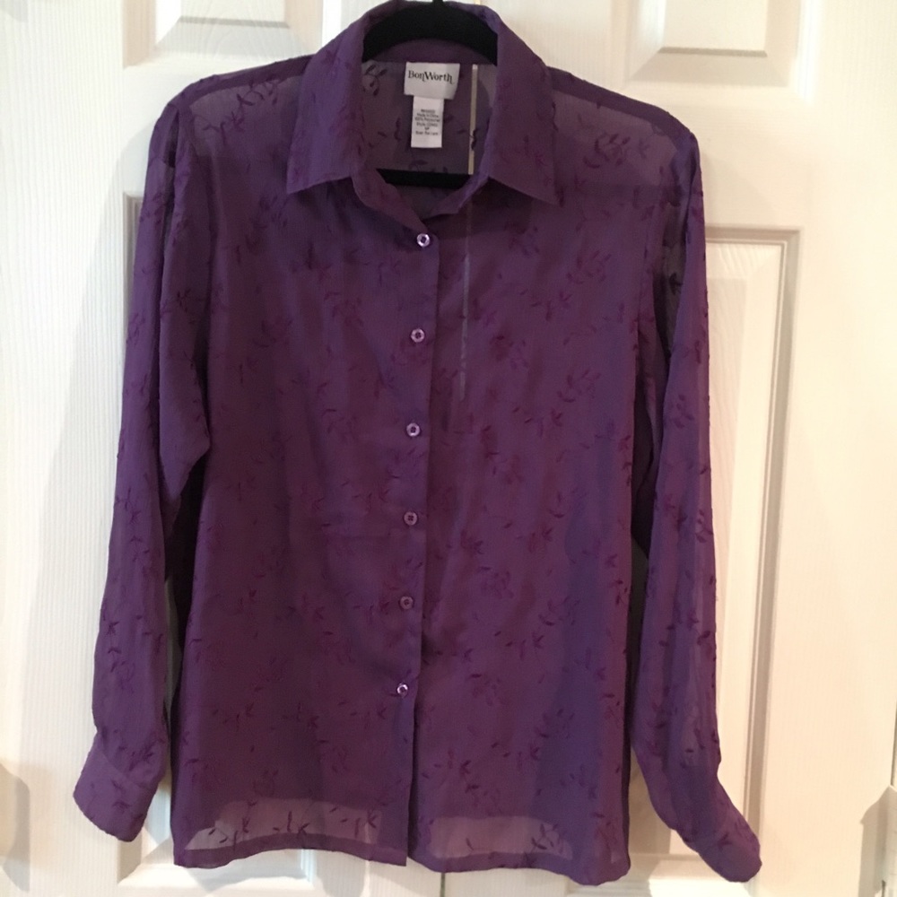 Beautiful Sheer Top