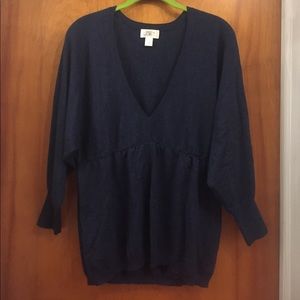 Ann Taylor Loft sweater