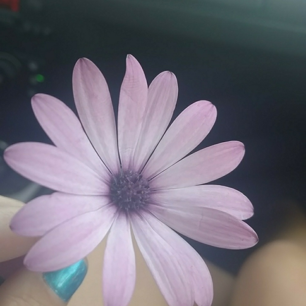 Meet your Posher, Sandra