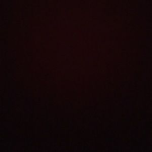 Meet your Posher, Savannah