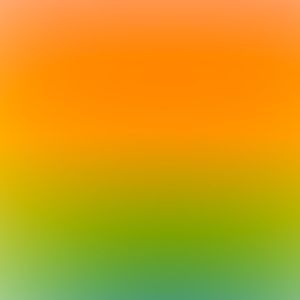 Meet your Posher, Hallie