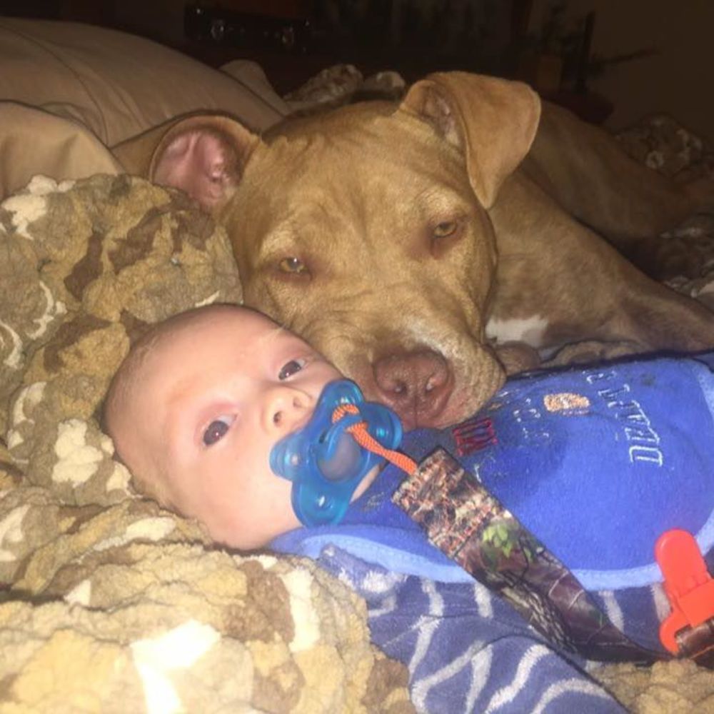 Meet your Posher, Jeni