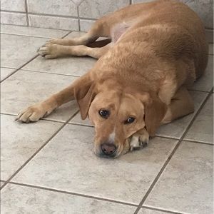 Meet your Posher, Kathryn