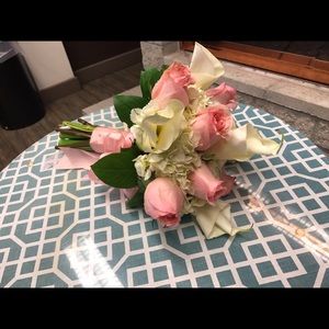 Meet your Posher, Lucy