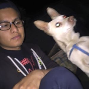 Meet your Posher, Mario