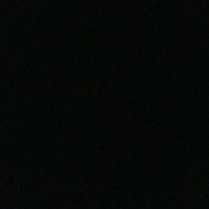 Meet your Posher, Shamika