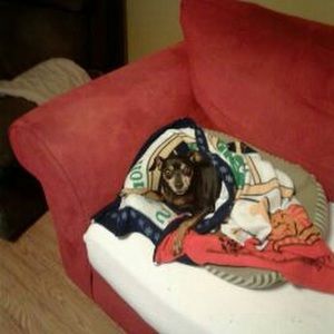 Meet your Posher, Chris