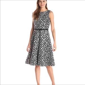 Polka Dot A Line Dress