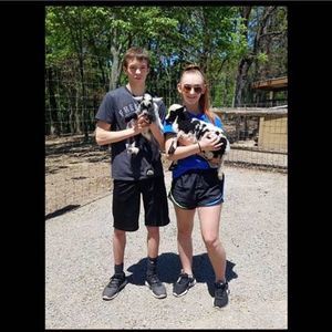 Meet your Posher, Justina