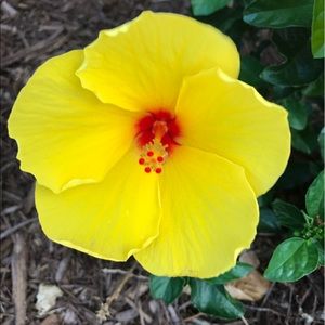 Meet your Posher, Monica