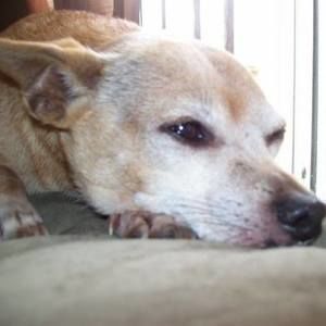 Meet your Posher, Patricia