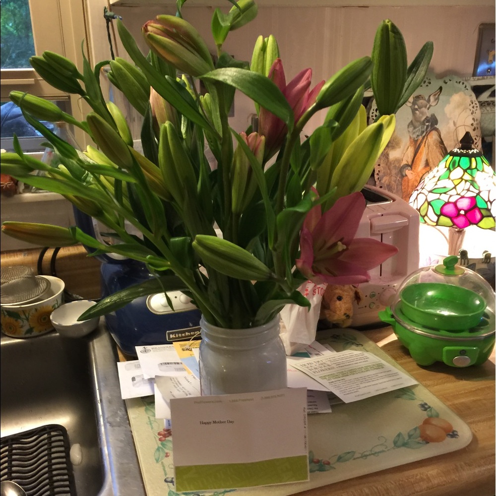 Meet your Posher, Cynthia