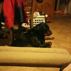 Meet your Posher, Latisha