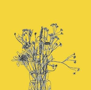 Meet your Posher, Aly