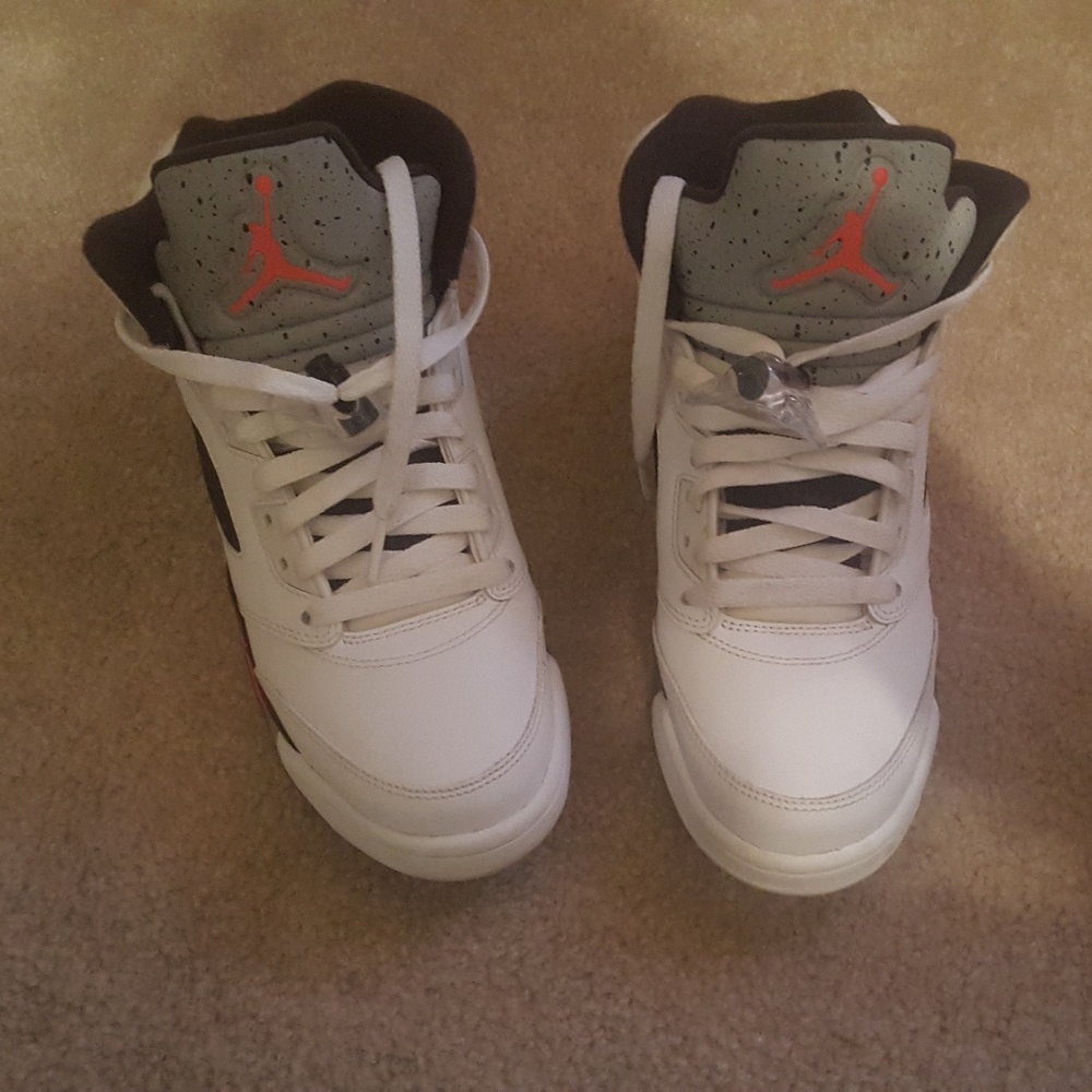 Air Jordan Space Jam 5s