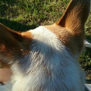 Meet your Posher, Vanessa