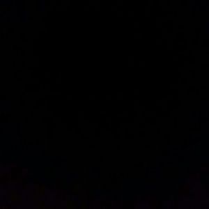 Meet your Posher, Abigail