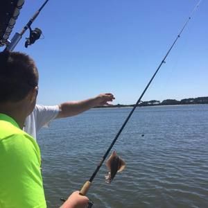 Meet your Posher, Colby