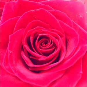 Meet your Posher, Lydia