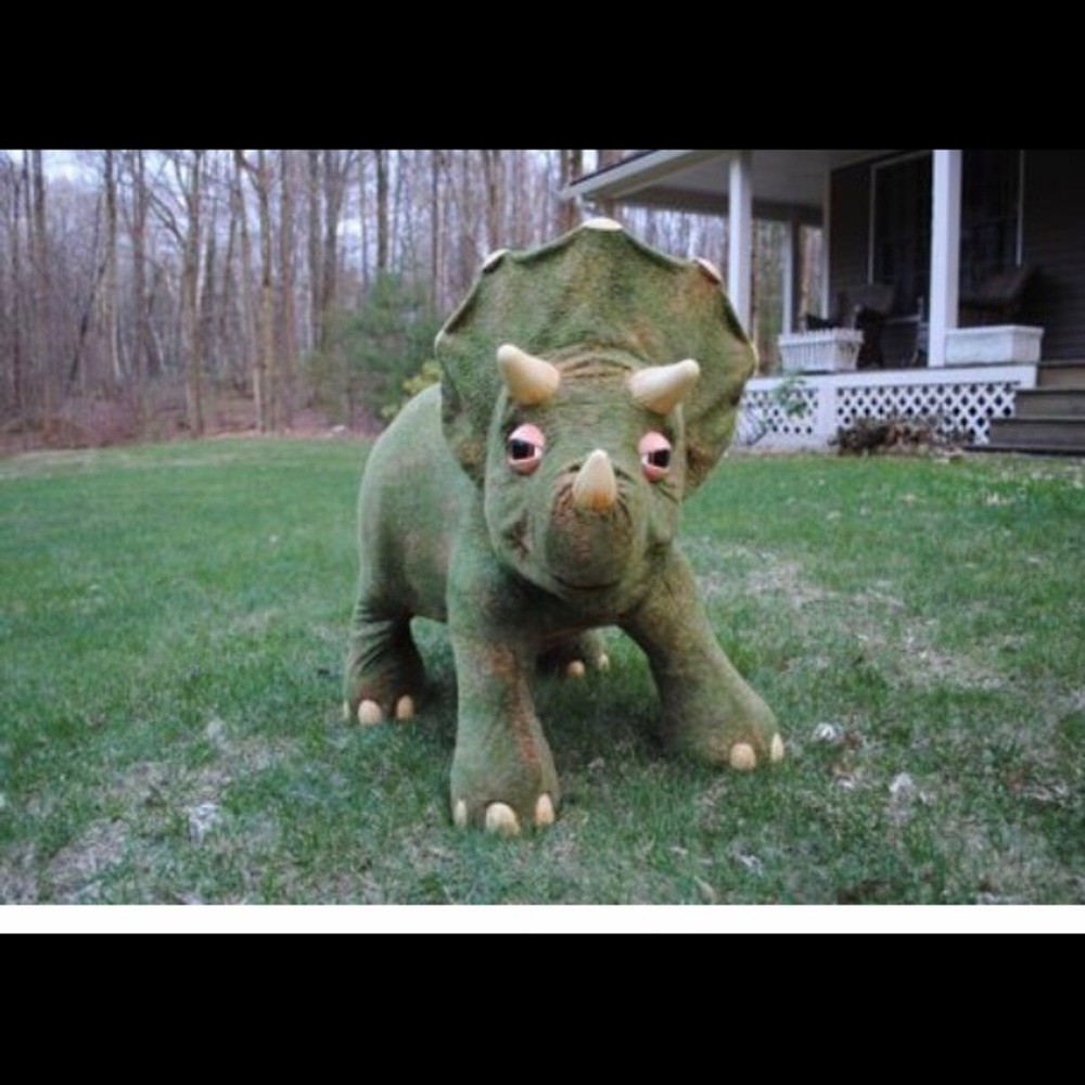 Kota the triceratops