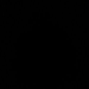 Meet your Posher, Chanice