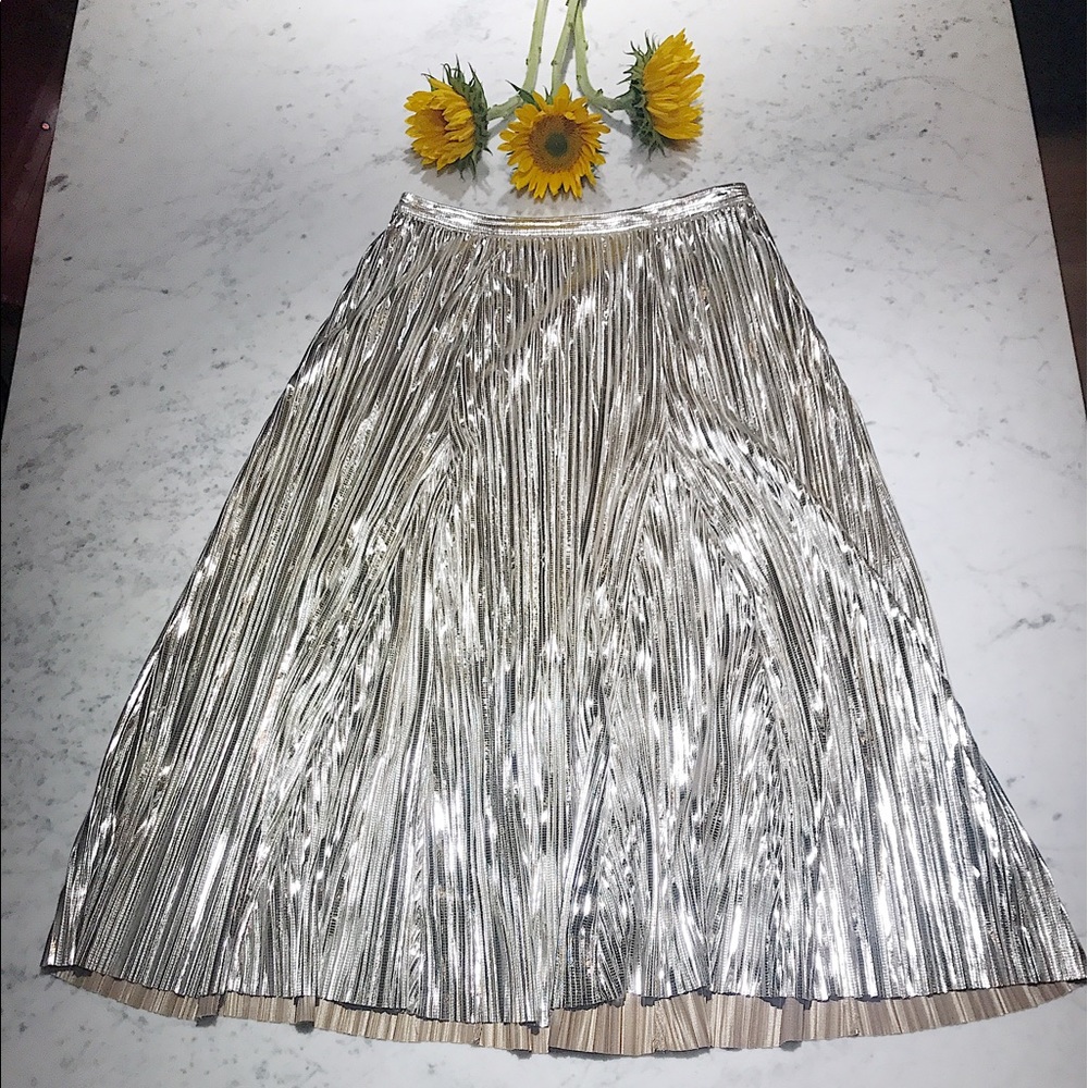 Anthropologie silver pleated maxi skirt