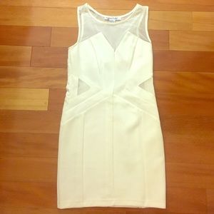 "Girl in Mesh" Dress